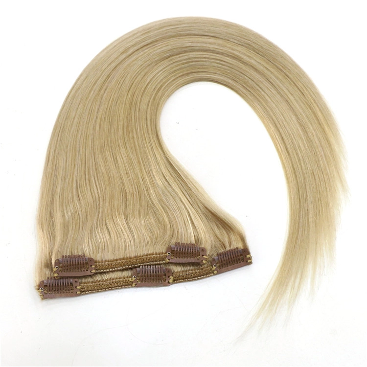 grey color balayage color aliexpress china supplier 100% virgin brazilian remy human hair seamless clip in hair extensions