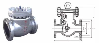 check valve.jpg
