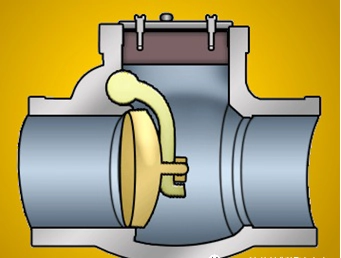 check valve 01.jpg