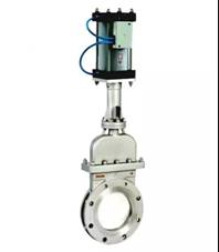 gate valve.jpg