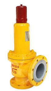 safety valve.jpg