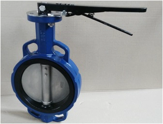 EPDM lined butterfly valve.jpg