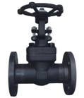 forged gate valve.jpg