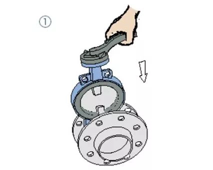 butterfly valve 1.jpg
