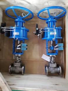globe valve.jpg