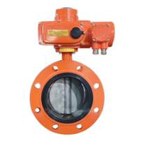 butterfly valve pressure testing.jpg