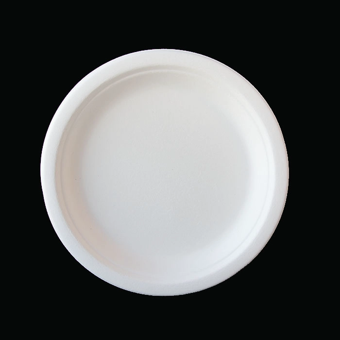 10 inch disposable round bagasse plates sugarcane tableware supplier