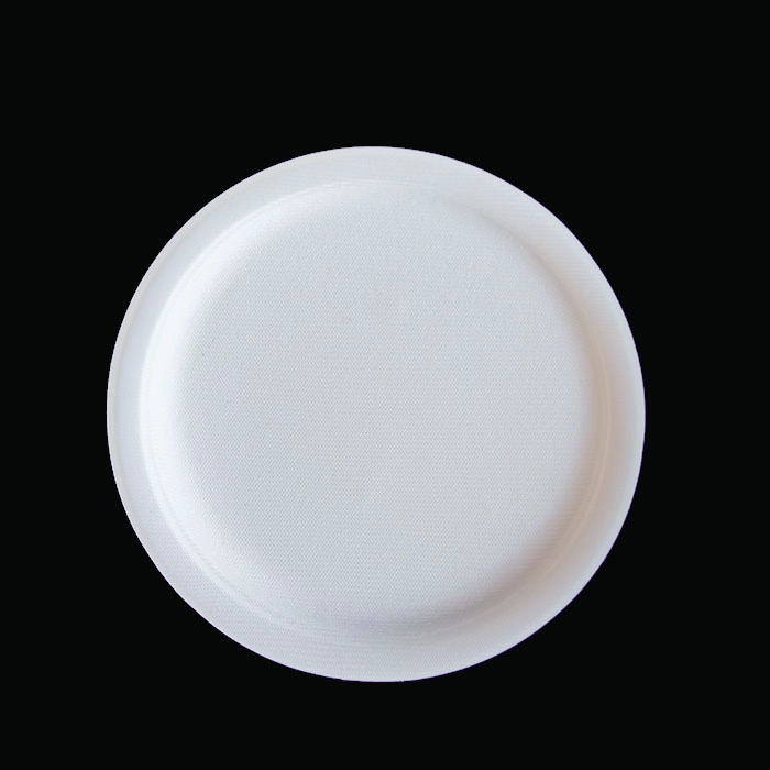 10 inch disposable round bagasse plates sugarcane tableware supplier