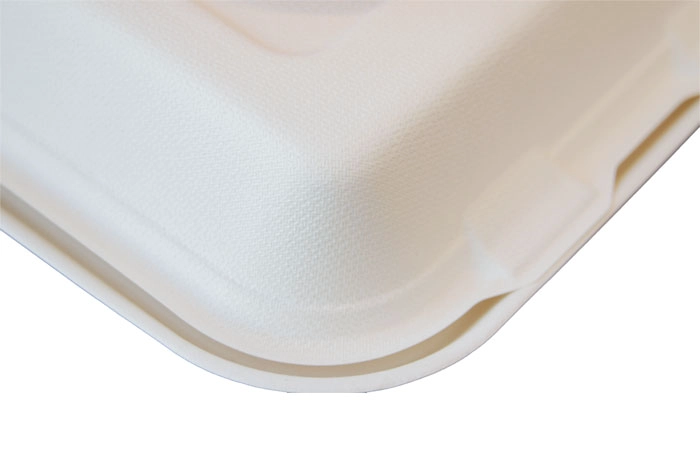 8 pulgadas de 3 compartimientos de bagazo para sacar fabricante de cajas de alimentos