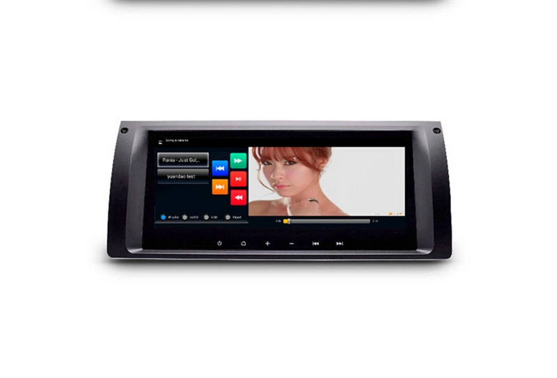Lettore DVD dell'automobile per BMW X5 E39