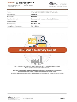 BSCI Audit Summary Report