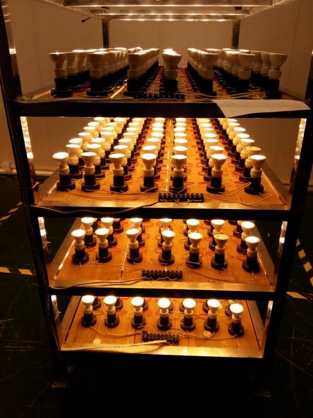 LED spotlights from Innolite