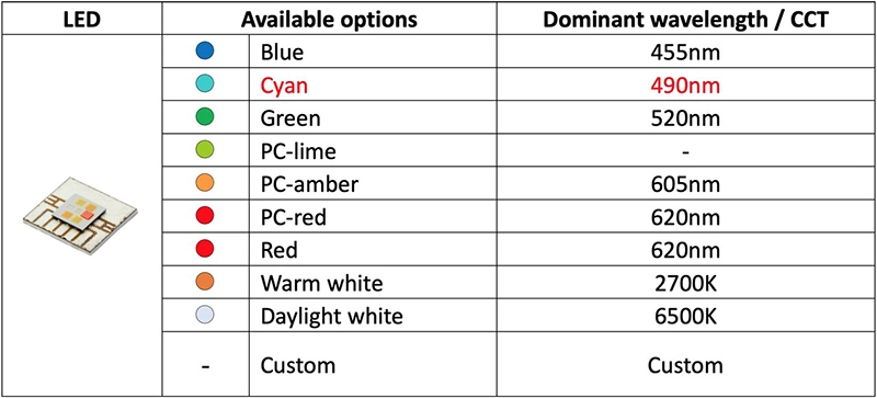 China LED Filament Light Manufacturer