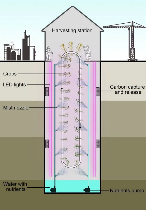 LED bulbs for home