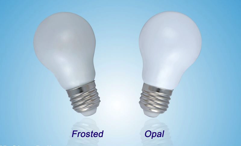 LED bulbs factory china