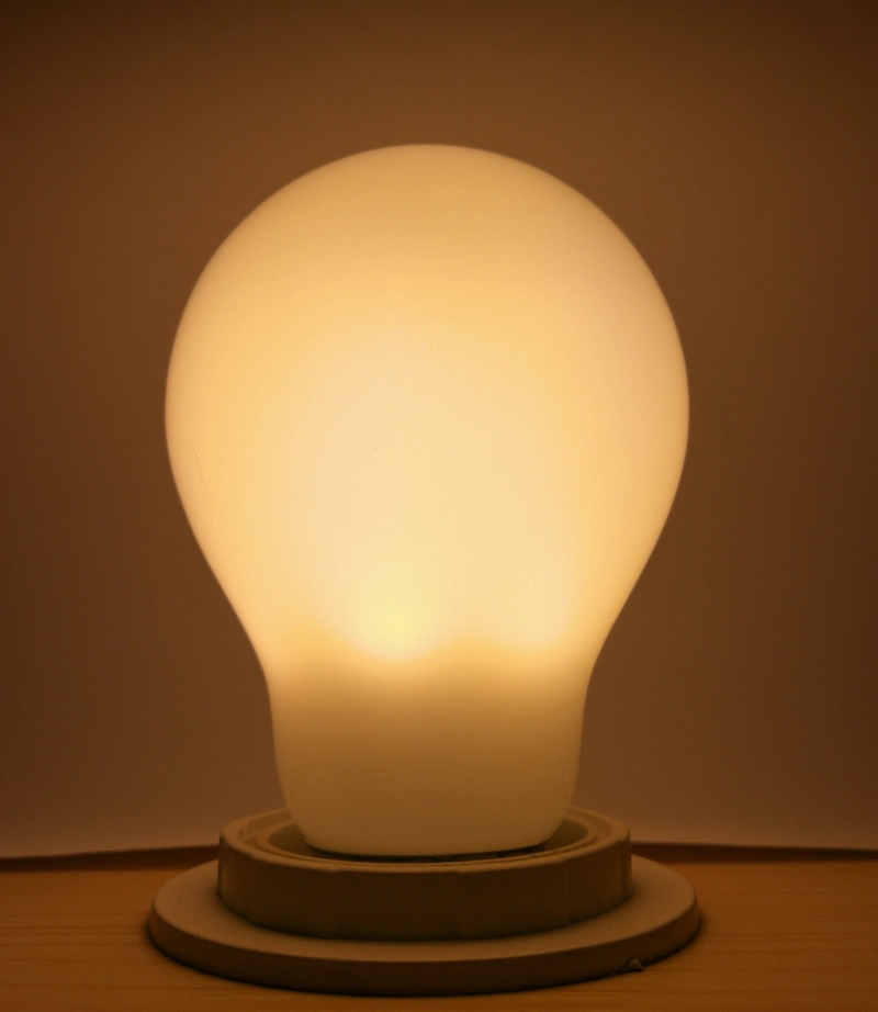 Full Glass LED Glühbirnen A19 A60 8W