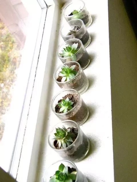 What can you do with leftover candle jars?