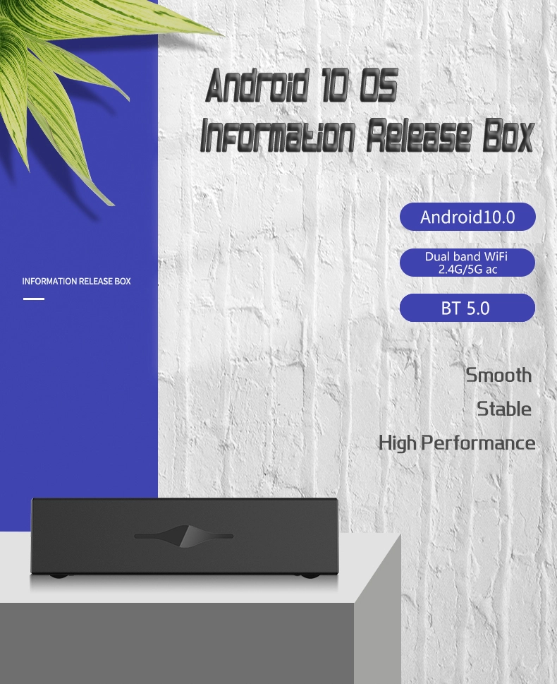 Android 10 System Information Release Boxes