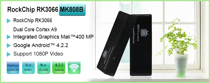 Netflix tv box dual core RK3066 mini pc dongle