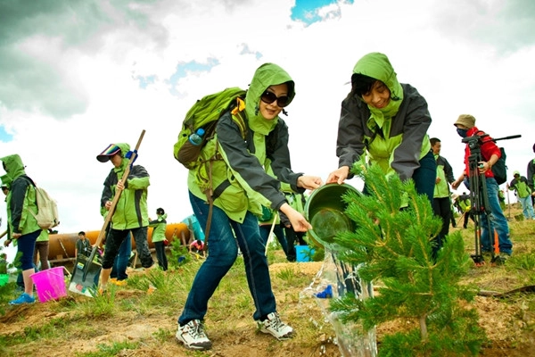 rvton plant trees
