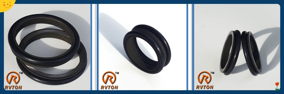 crawler crane seal