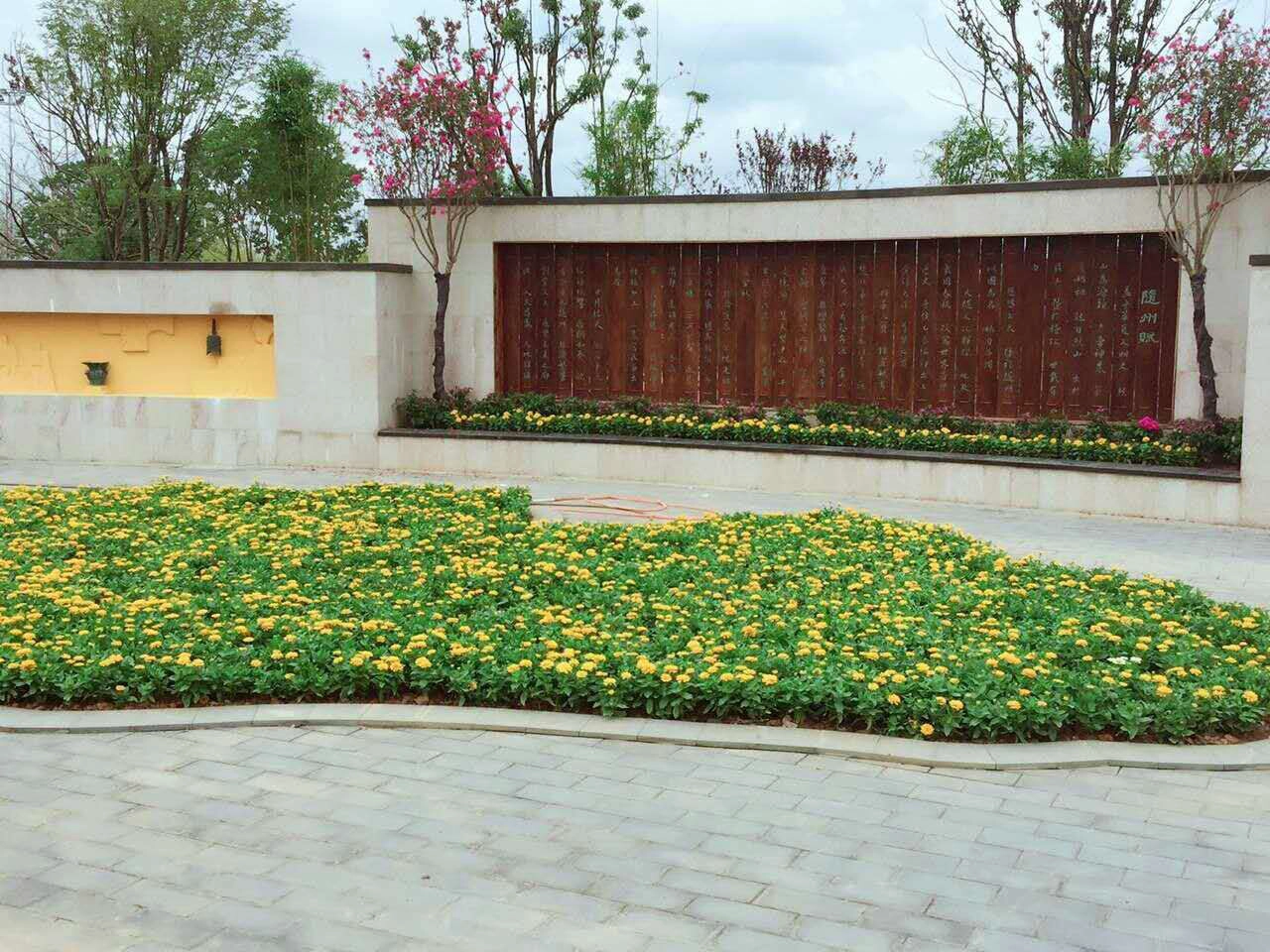 Garden flower expo