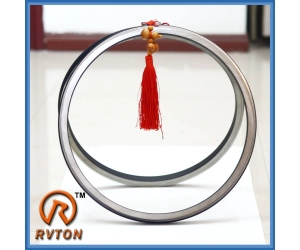Cina Götze Type 76.90 H 27 - Viton, Duo cone seal produttore