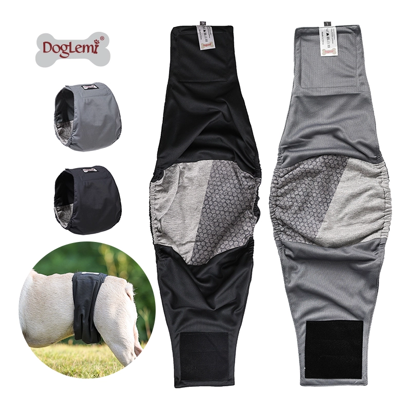 Antibactérien réutilisable lavable absorbant imperméable mâle mâle chien chien bandes pantalons de couches