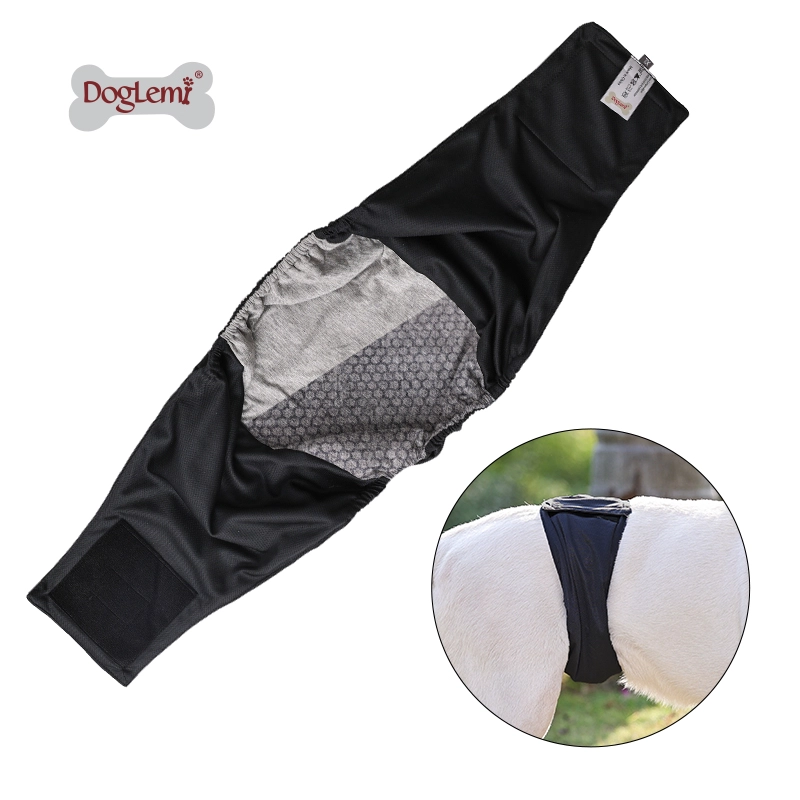 Antibactérien réutilisable lavable absorbant imperméable mâle mâle chien chien bandes pantalons de couches