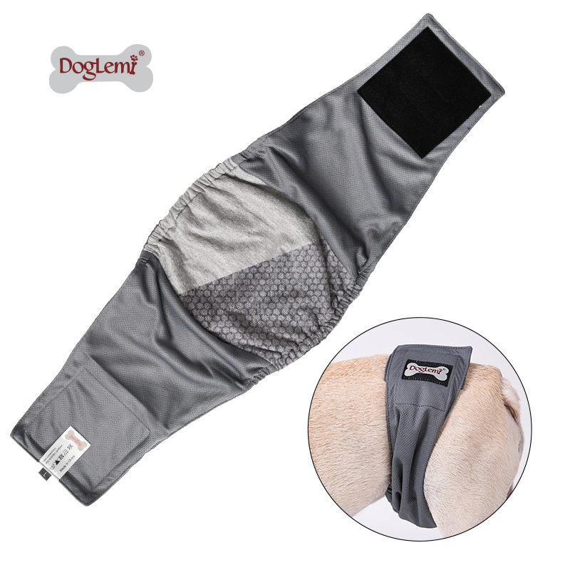 Antibactérien réutilisable lavable absorbant imperméable mâle mâle chien chien bandes pantalons de couches