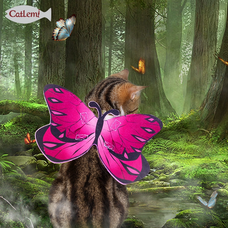 Mariposa Diseño Cat Cosplay Disfraz Hollewen Party Puppy Dog Pet Cat Dress Vestido Chaleco Ropa
