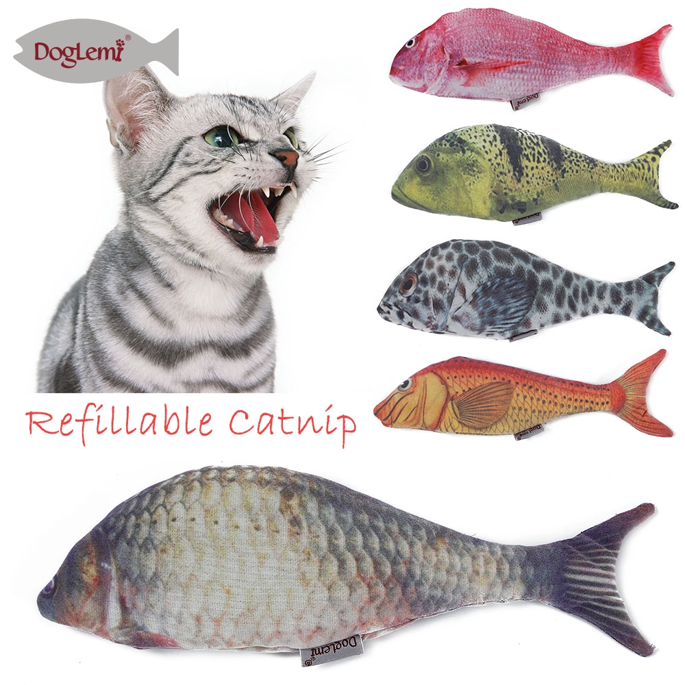 Jouet de kit poisson chat
