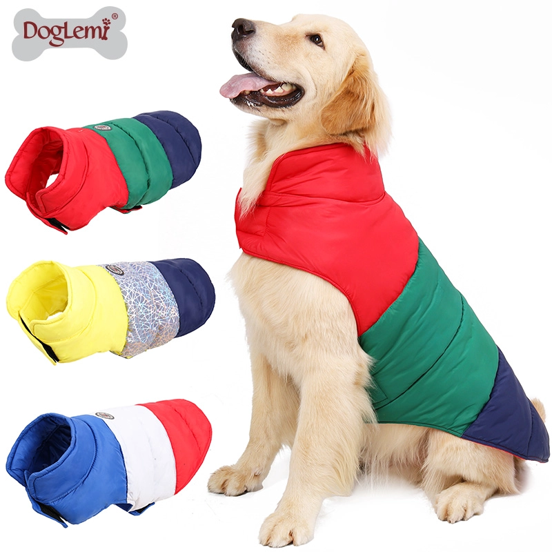 Colorful winter dog clothes