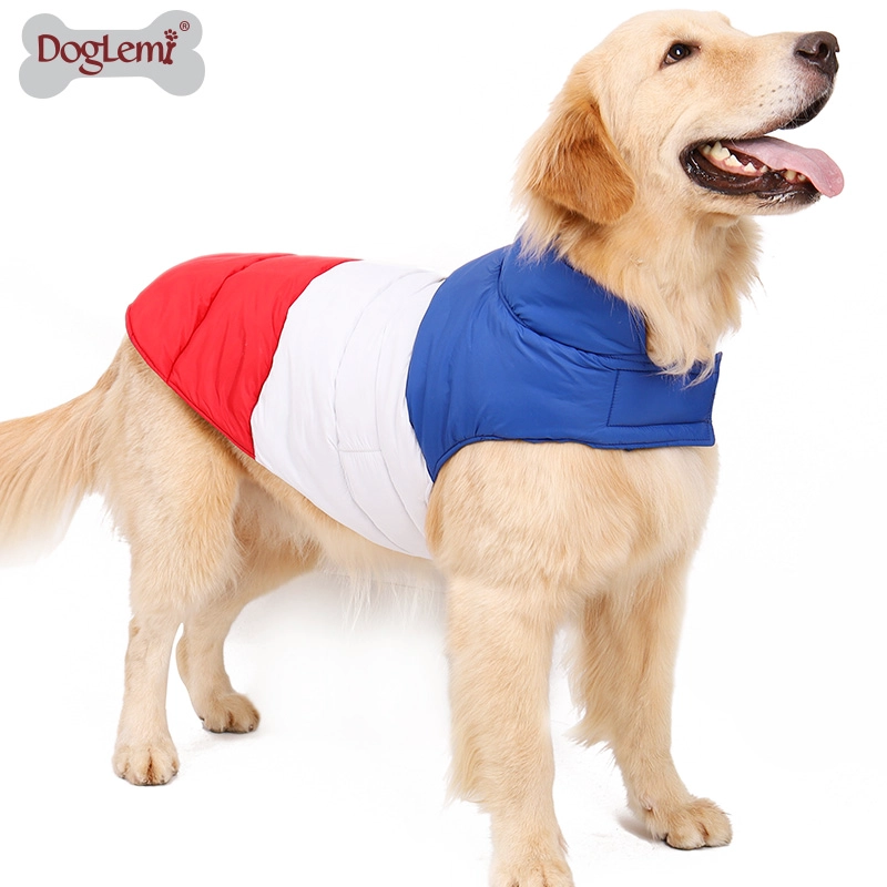 Colorful winter dog clothes