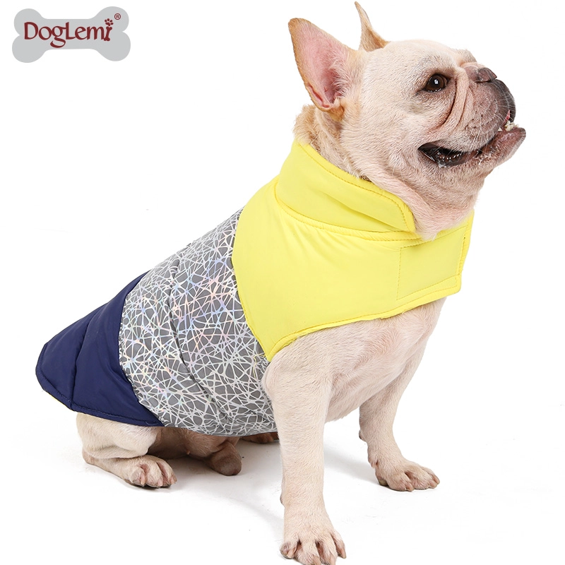 Colorful winter dog clothes