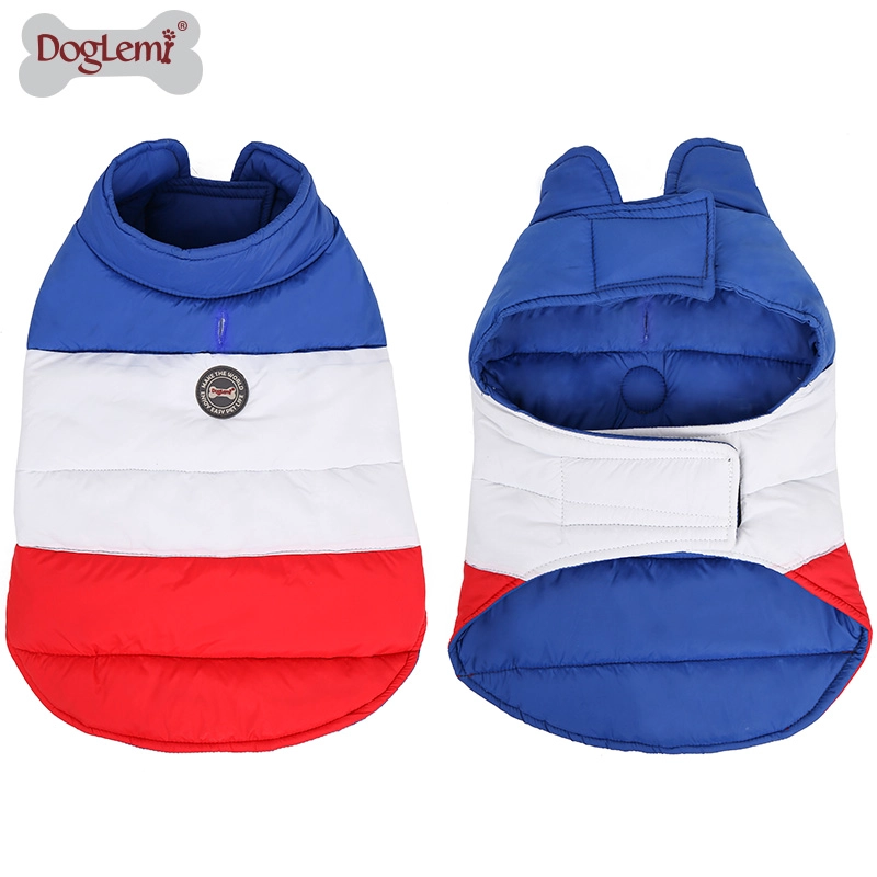 Colorful winter dog clothes