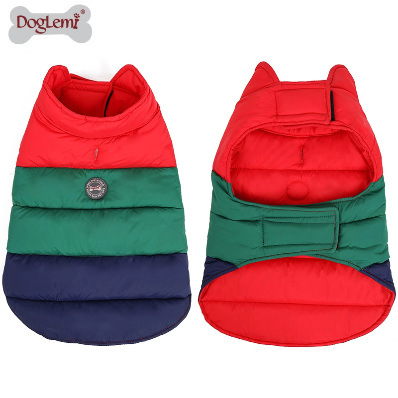 Colorful winter dog clothes