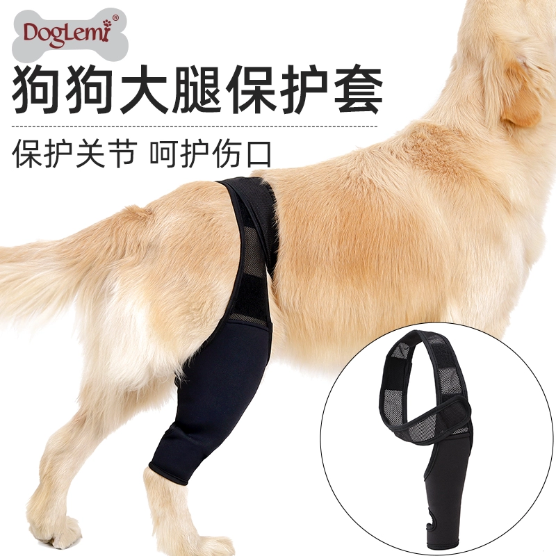 狗狗腿部骨折固定护具狗前后腿支架残疾狗后退腿辅助狗腿瘸带 护膝护狗腿宠物护具狗狗手术受伤保护套