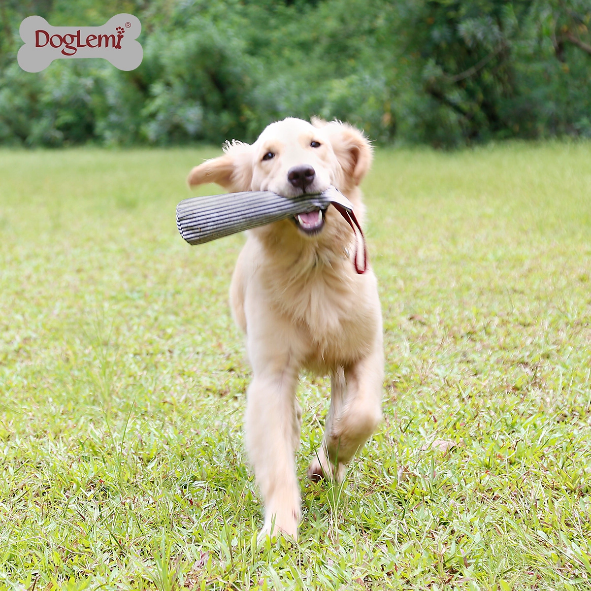 Jouet pour chien en tissu écologique