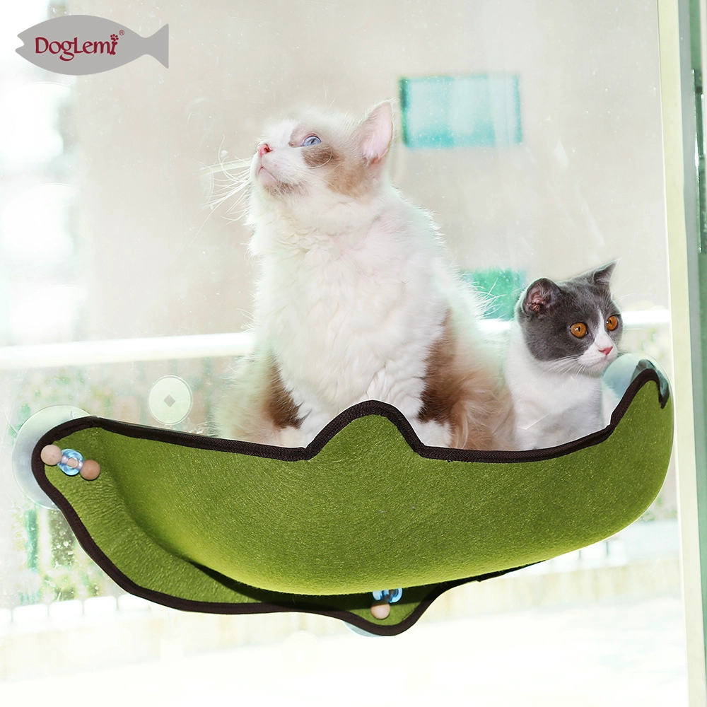 Hamaca EVA gato cabeza gato hamaca