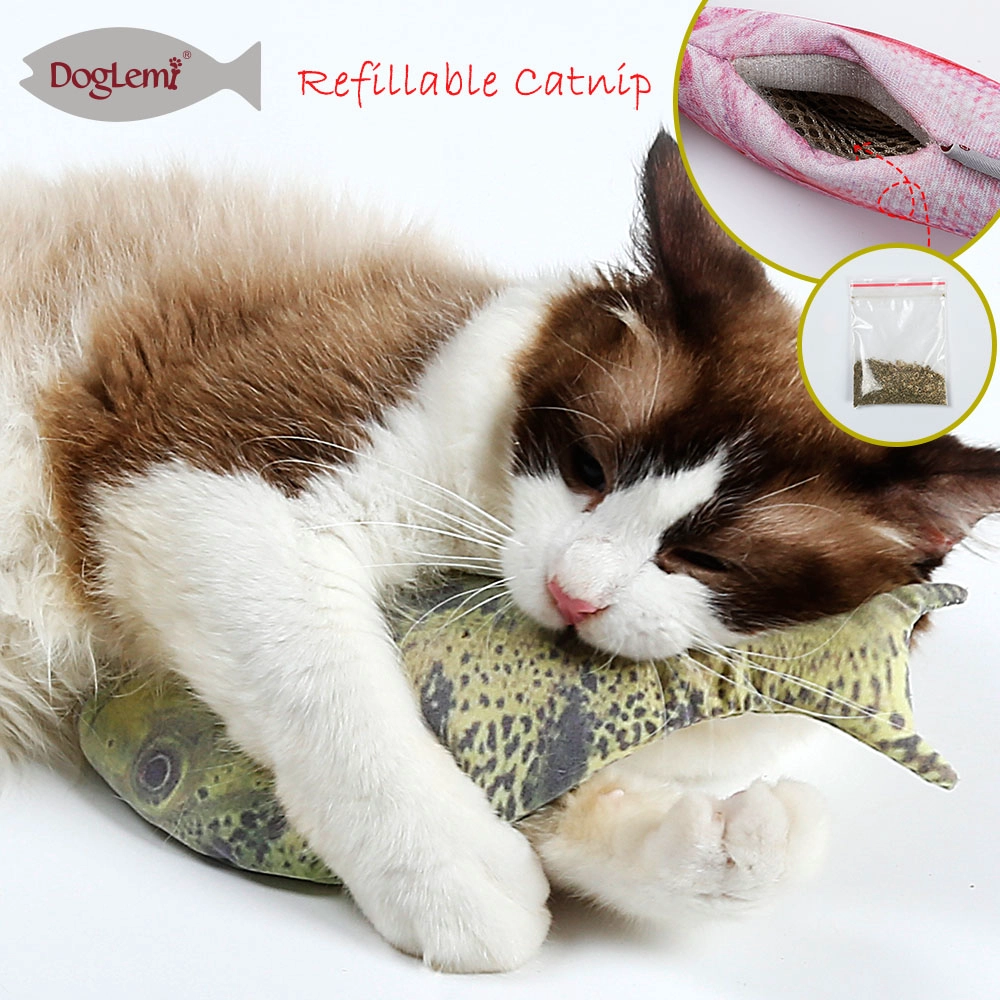 Jouet de kit poisson chat