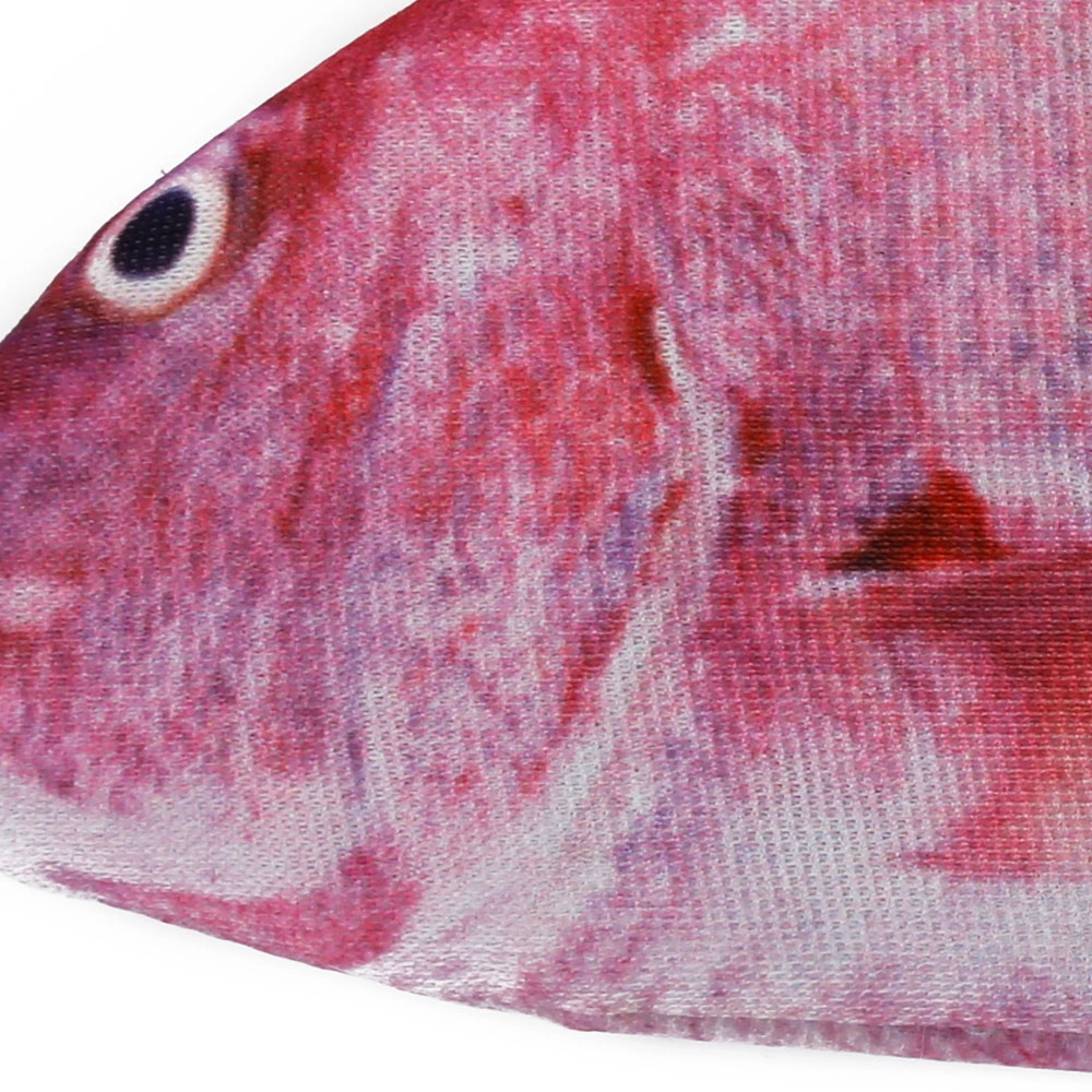 Jouet de kit poisson chat
