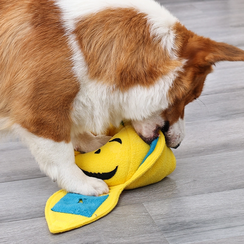 Drôle peluche de citrouille de citrouille de pierre snuffle nourrissant matelas de nez de nose traitement formation ennuyeuse chien puzzle chien