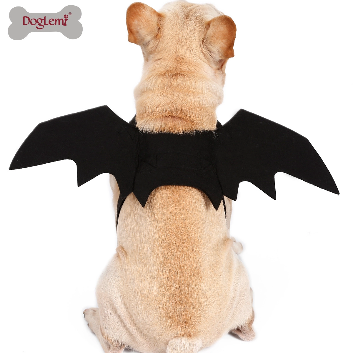Ailes de chauve-souris pour chien