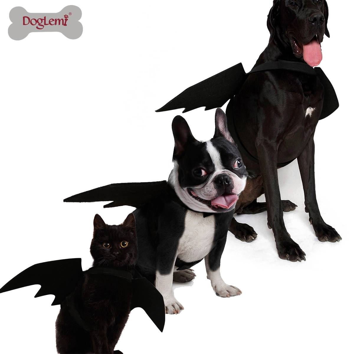 Ailes de chauve-souris pour chien