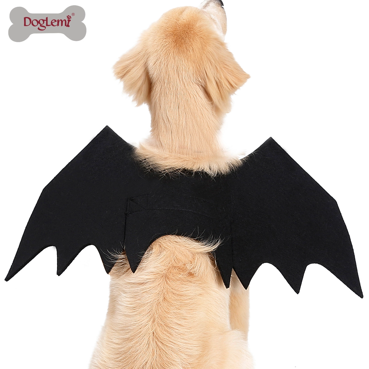 Ailes de chauve-souris pour chien