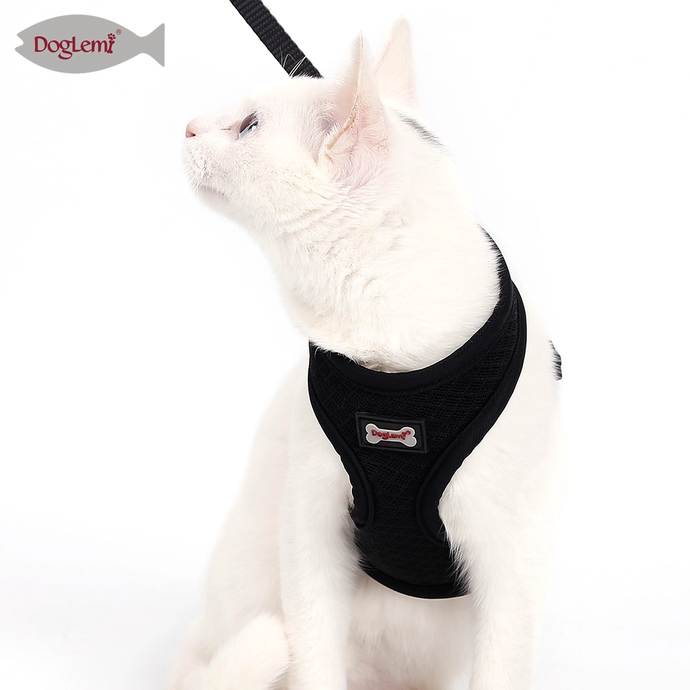 网布猫胸背套