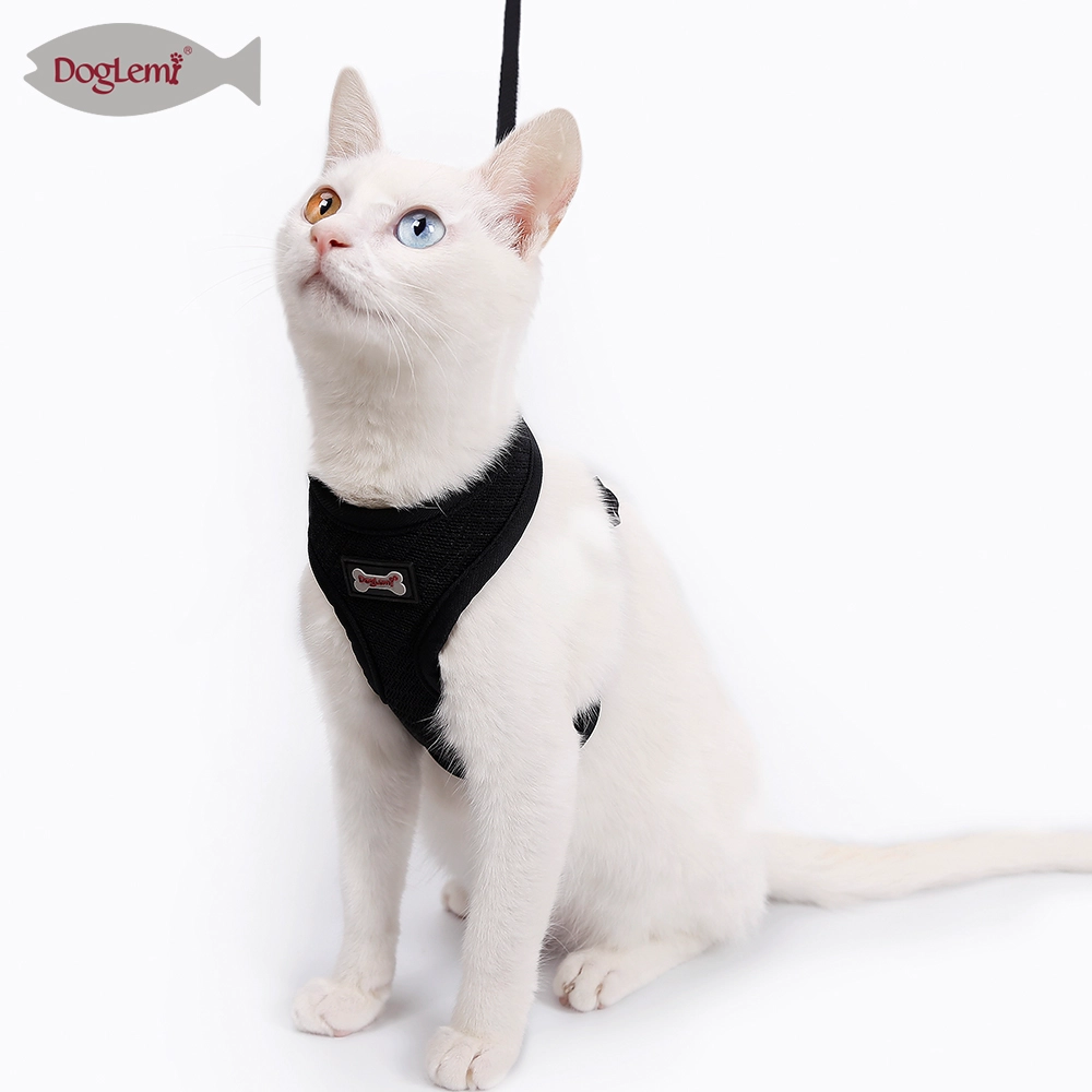 网布猫胸背套