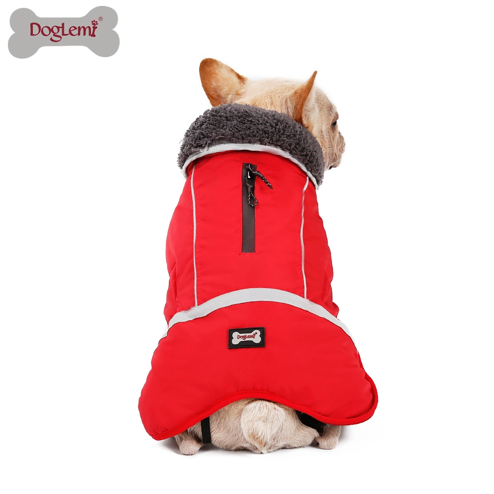 Épaissir de nouveaux vêtements de chien