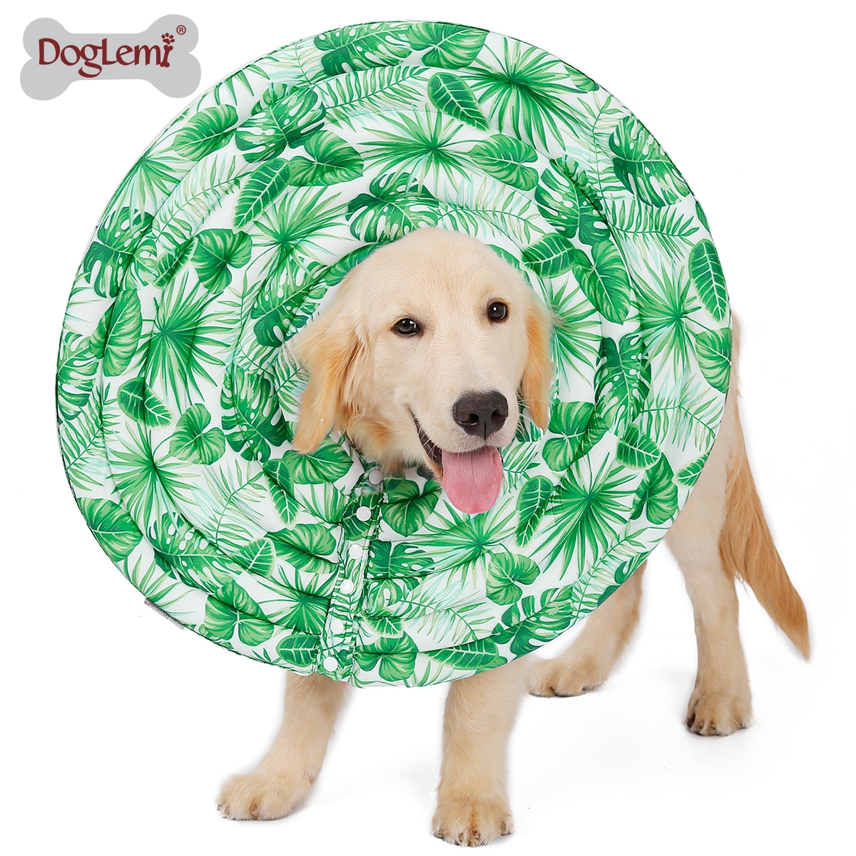 Collier électronique de récupération pour chien et chat